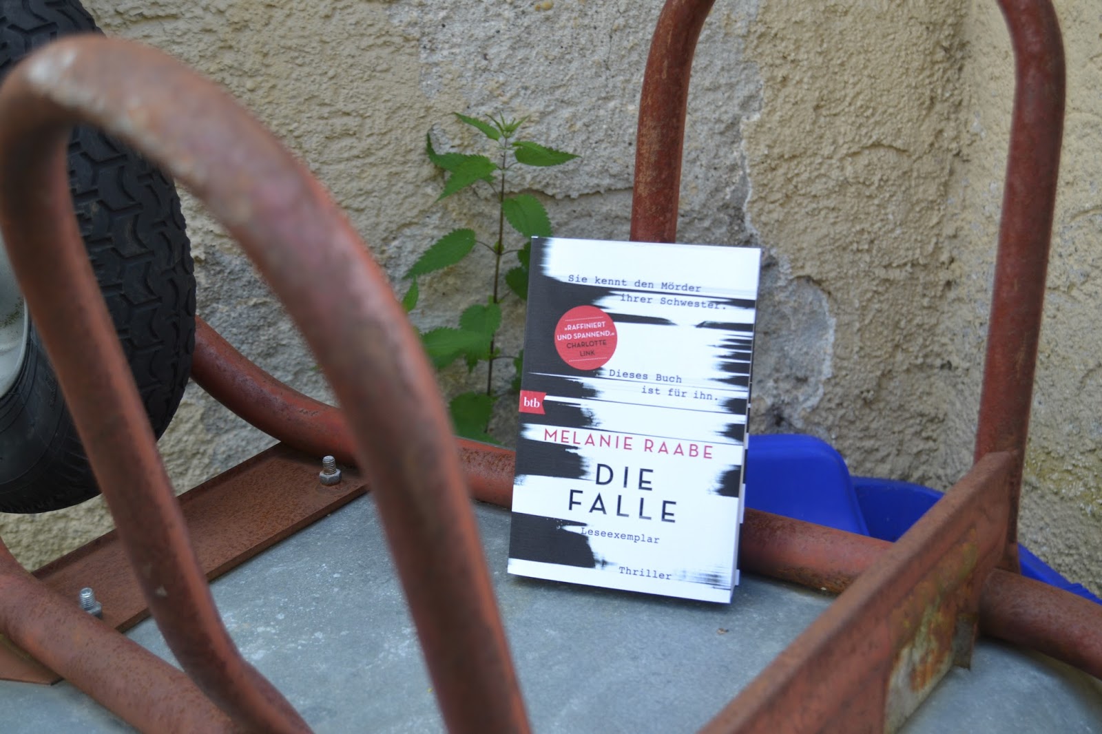 Sarahs Bücherwunderland Rezension zu 