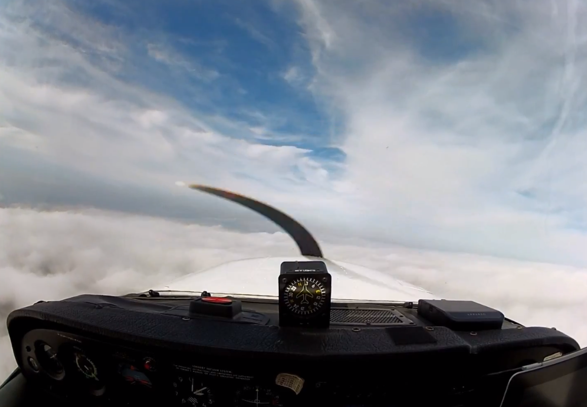 From Private to Professional Pilot: First Cessna 172 Flight Lesson