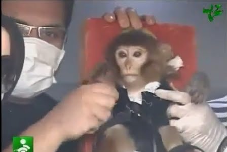 Το Ιράν έστειλε πίθηκο στο διάστημα! (βίντεο)