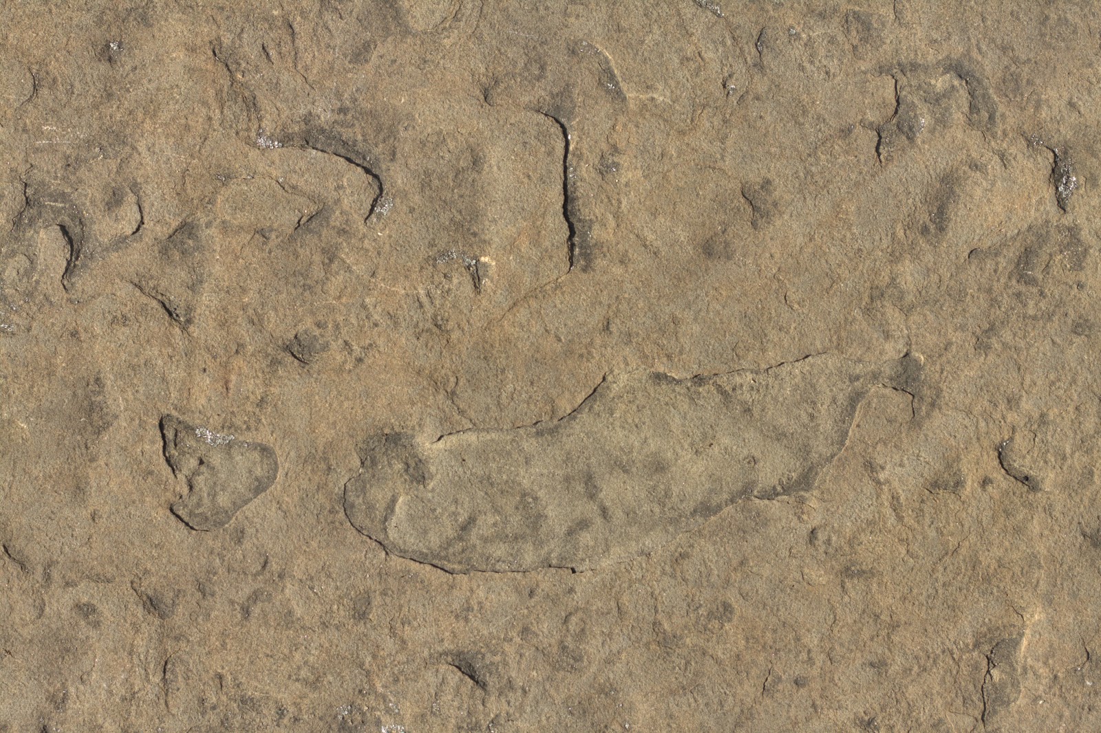 (Stone 7) rock cave mountain brown texture 4770x3178