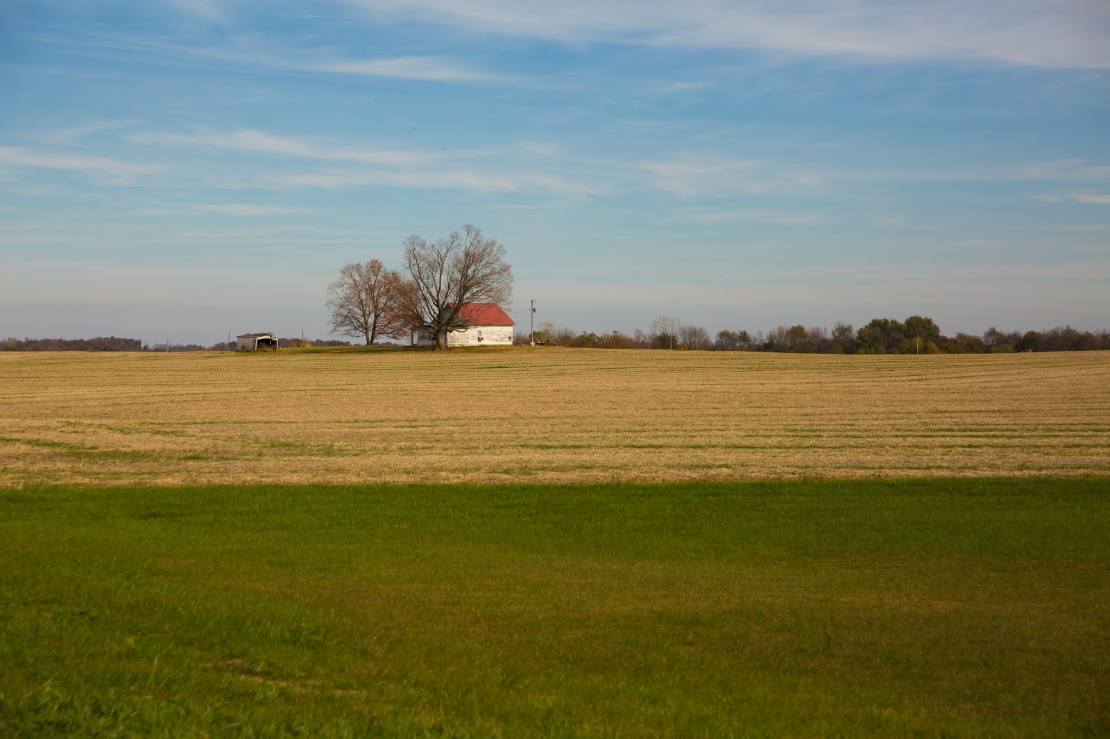 Lincoln's Domain Cecilia, Kentucky
