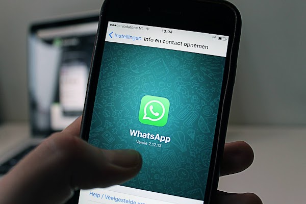 What's Up With WhatsApp? Excited Because of WA Status What's Up With WhatsApp? Excited Because of WA Status