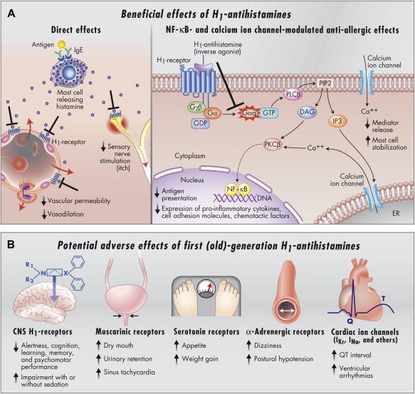 ANTIHISTAMINIQUES H1 COURS de la pharmacie