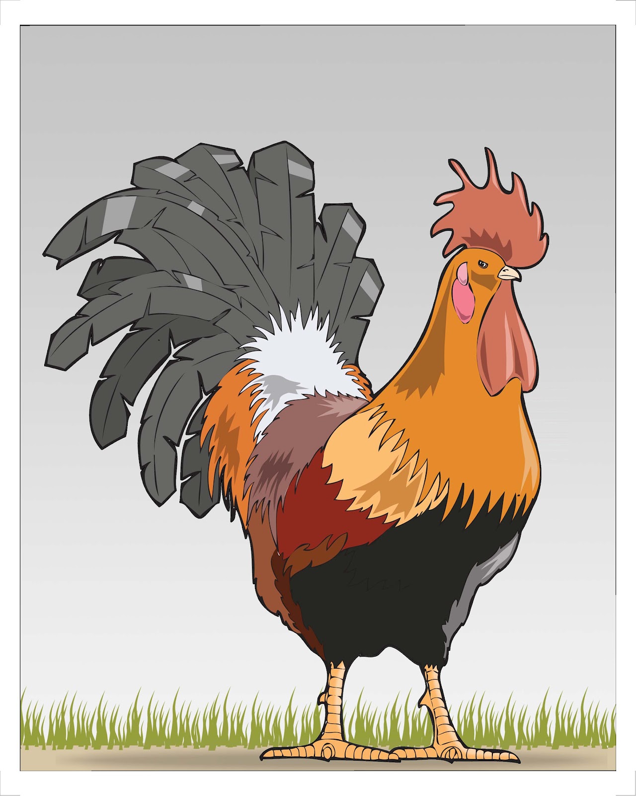 Pollo Loco Chook Art