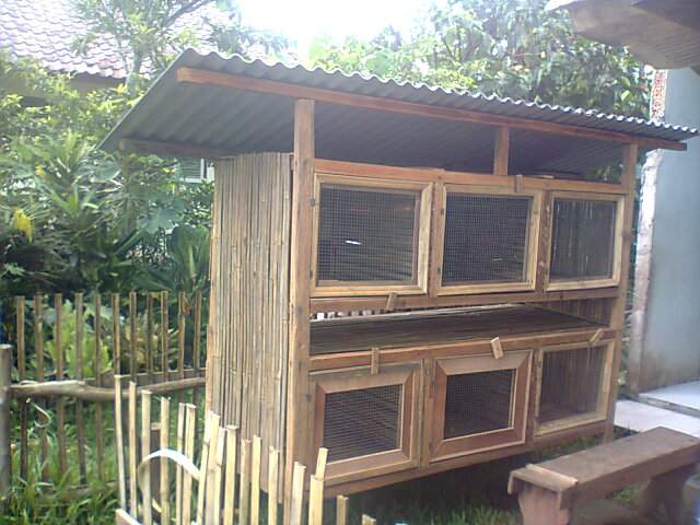 Cara Membuat Kandang Kelinci Yang Baik Dan Sehat Peternakan Dan