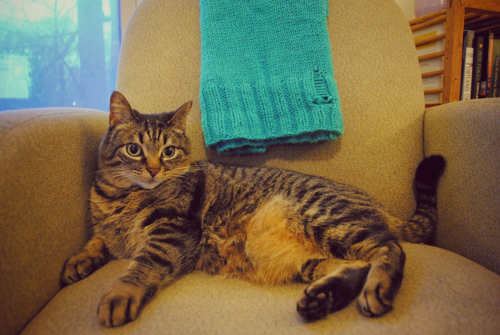 jaykayknits Sweater Surgery