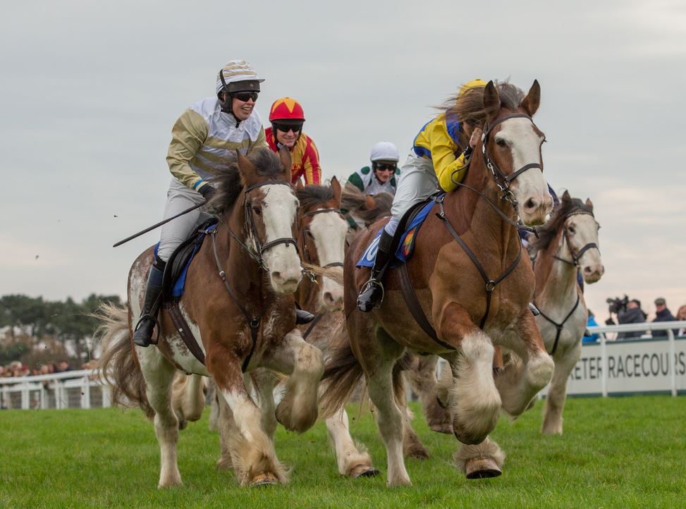 Just A Car Guy: the Exeter Racecourse hosted the Clydesdale racing ...