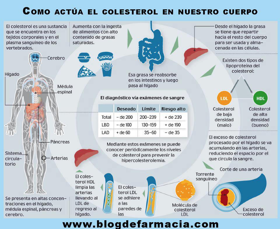 EMS SOLUTIONS INTERNATIONAL by DrRamonReyesMD marca registrada COLESTEROL Infografia EMS SOLUTIONS INTERNATIONAL by DrRamonReyesMD marca registrada COLESTEROL Infografia