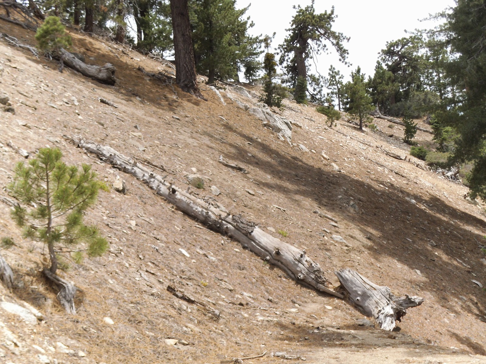 MIke's SOTA Adventures: Kratka Ridge W6/CT-014
