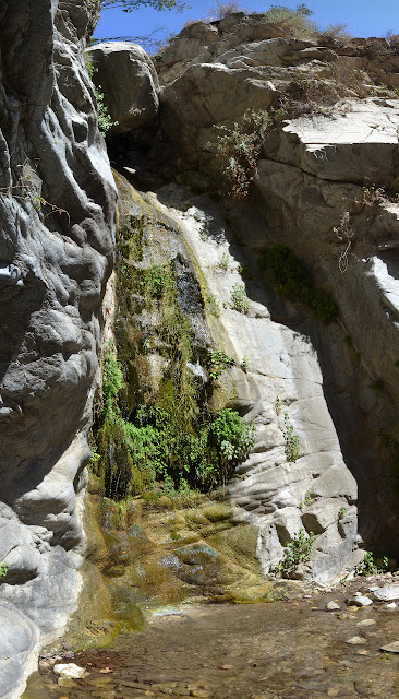 Millard Canyon Falls