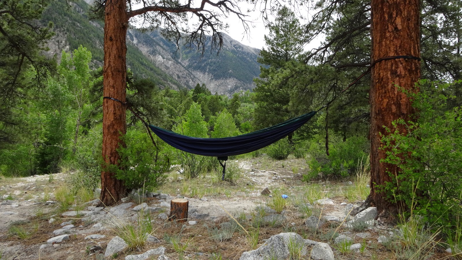 National Forest Camper Mt Princeton Campground