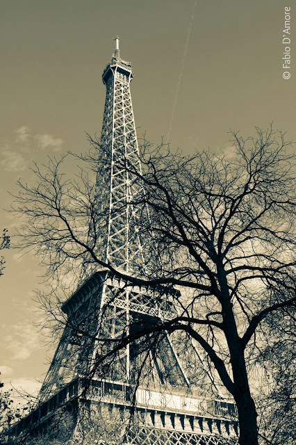 Tour Eiffel-Crociera sulla Senna-Parigi