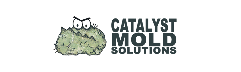 Catalyst Mold Solutions