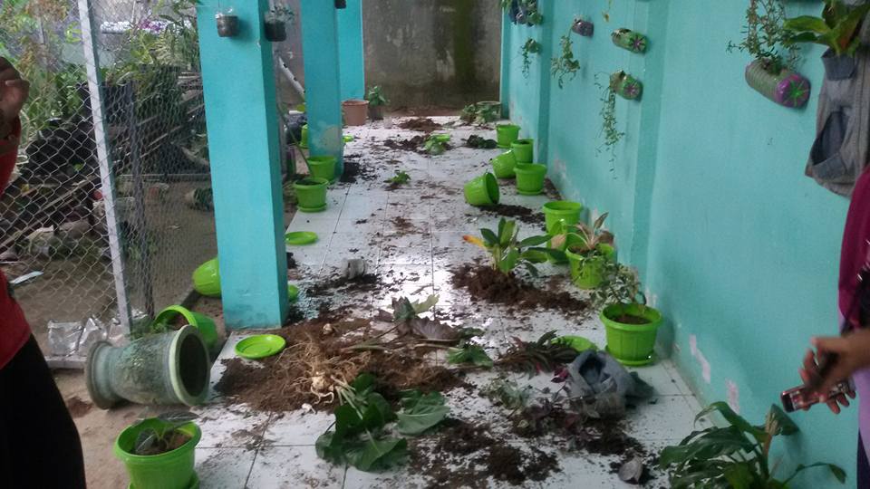 Sinjai Media Center Karampuang Kabupaten Pot Bunga Man Mc Jelang