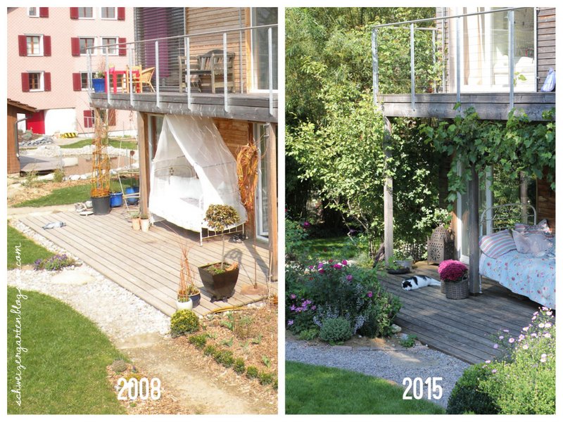 10 Jahre Ein Schweizer Garten