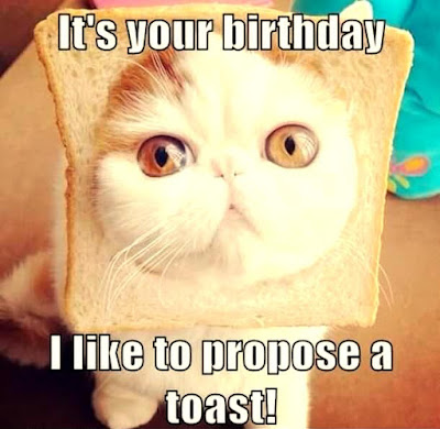 Funny Happy Birthday Images Funny Happy Birthday Images