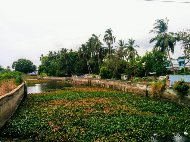 Kallidaikurichi and the vaykaal or irrigation canal
