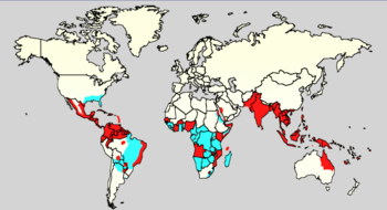 Mapa da dengue