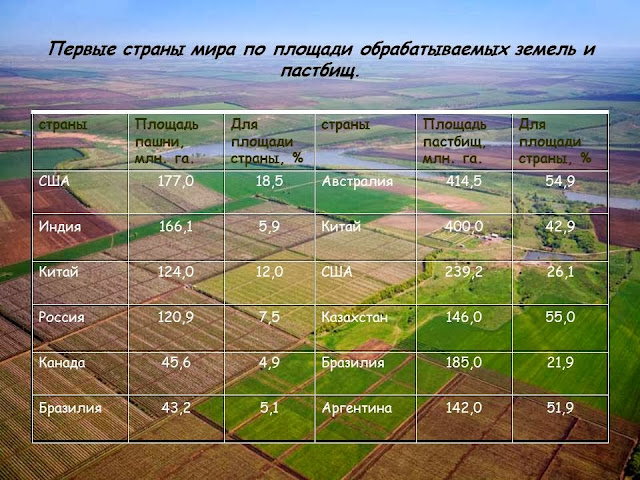 площади пастбищ. территория земли по странам. земельные ресурсы страны. доля обрабатываемых земель в общем земельном фонде. территории оленьих пастбищ на карте.