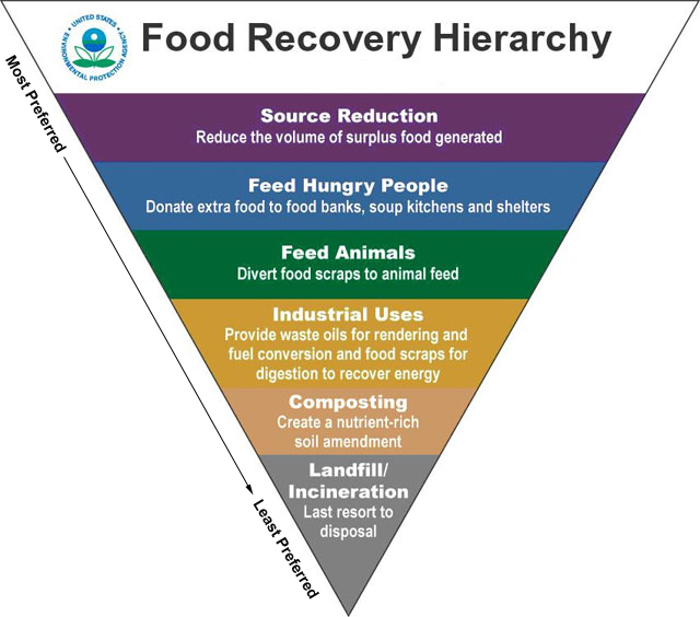 Regeneration in ACTION Ei Joins EPA Food Recovery Challenge