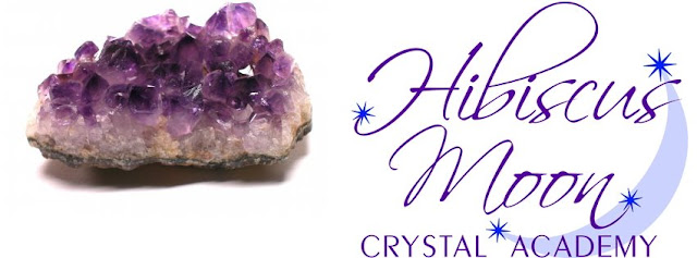 Wiccan Moonsong Hibiscus Moon Crystal Academy Enrollment Open 