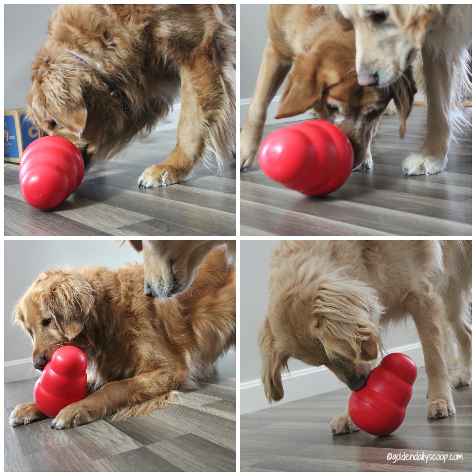 KONG Wobbler - Dog Food & Treat Feeder and Interactive Dog Toy