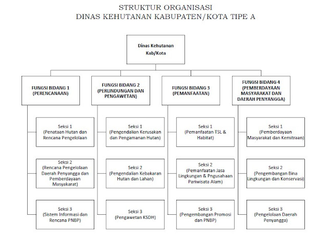 STRUKTUR ORGANISASI DINAS KEHUTANAN KABUPATEN/KOTA TIPE A STRUKTUR ORGANISASI DINAS KEHUTANAN KABUPATEN/KOTA TIPE A