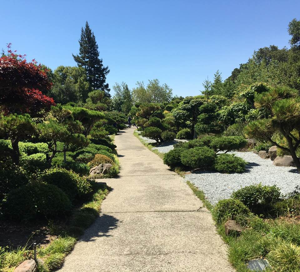Captivated Reader Little Free Library and the Hayward Japanese Garden