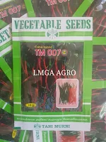 CABE TM 007, BENIH CABE TM 007, BIBIT CABE TM 007, JUAL BENIH CABE TM 007