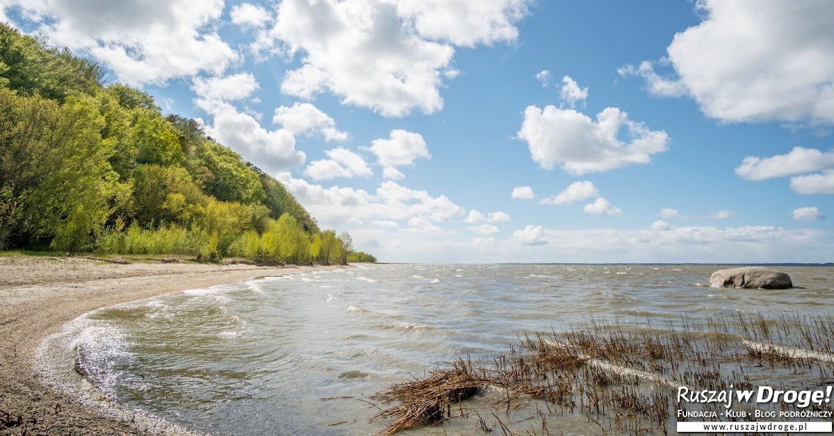 Dzika plaża nad Zalewem Wiślanym - Święty Kamień w Tolkmicku