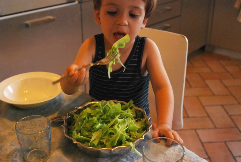 mangiare insalata da taglio coltivata in vaso