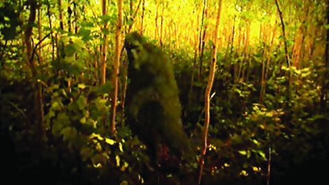 These three encounters will be featured in the Minnesota episode of These three encounters will be featured in the Minnesota episode of