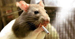 Tobacco Truth: NEJM Irresponsibly Damns E-Cigarettes as Gateway to Cocaine,  Based on Mouse Nicotine Studies