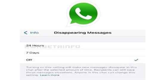 Fitur Baru WhatsApp Hapus Pesan Otomatis 24 Jam