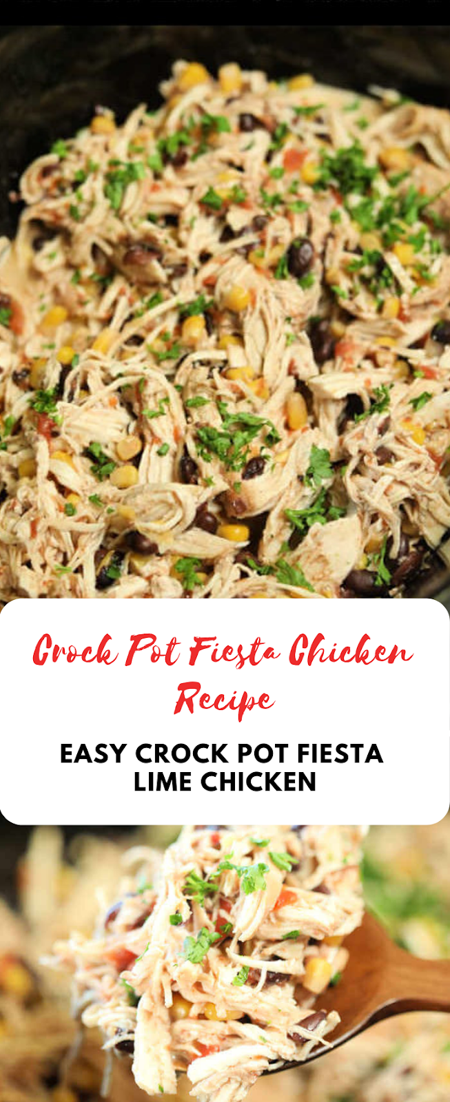 Crock Pot Fiesta Chicken Recipe EASY RECIPES