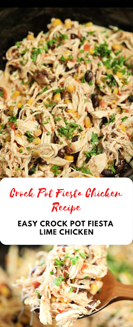Crock Pot Fiesta Chicken Recipe