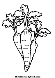 Carrot coloring page 6