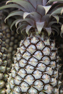 The Antigua black pineapple
