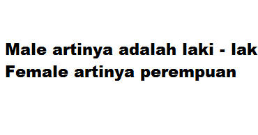 apa artinya female dan male ? - Apakah .xyz
