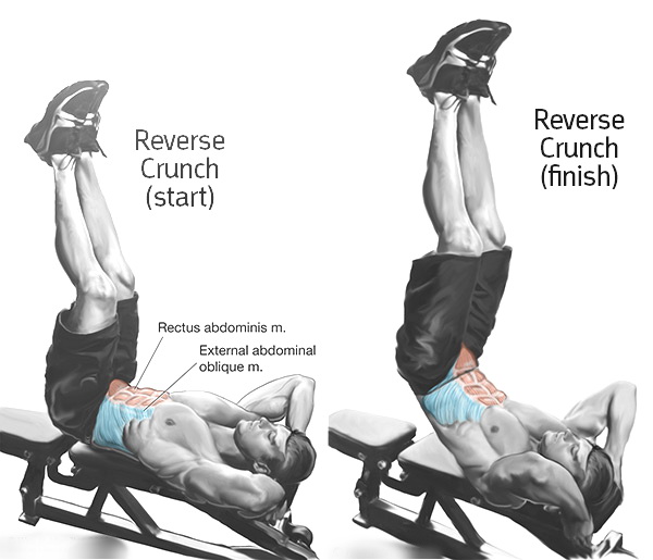 Reverse Crunches & Working Your Lower Abs