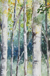 painting watercolour birch trees line february posted course bev morgan adventures