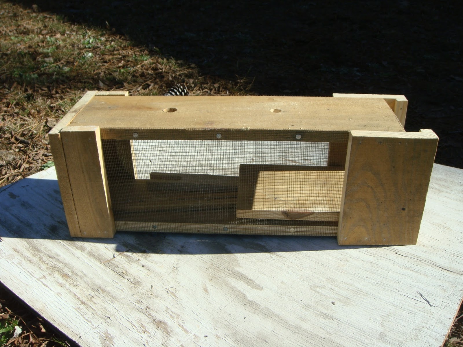 Sensible Survival: Build a Live Trap