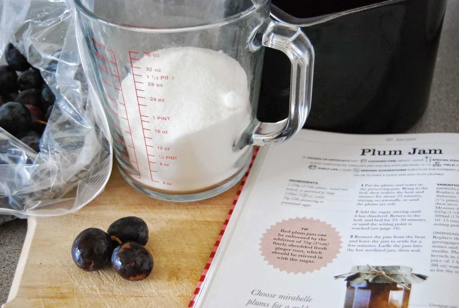 Damson Ice Cream Recipe Nigel Slater