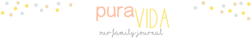 Pura Vida - Our Family Blog