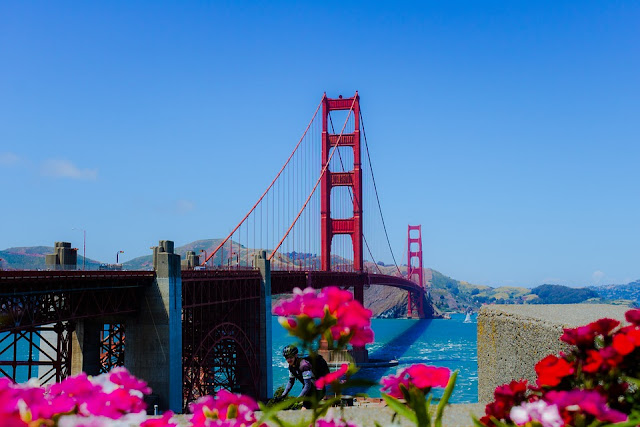 San Francisco Bridge and Bright Flowers Scenery Photo
