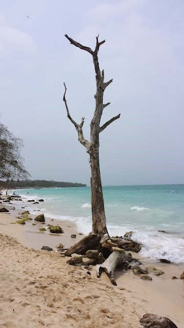 Playa Blanca Cartagena