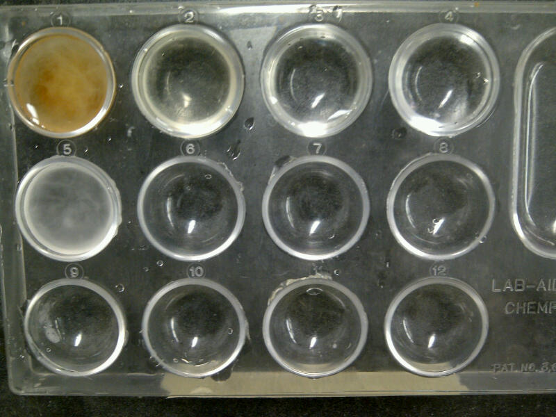 Chemistry Blog Water Testing Lab Report