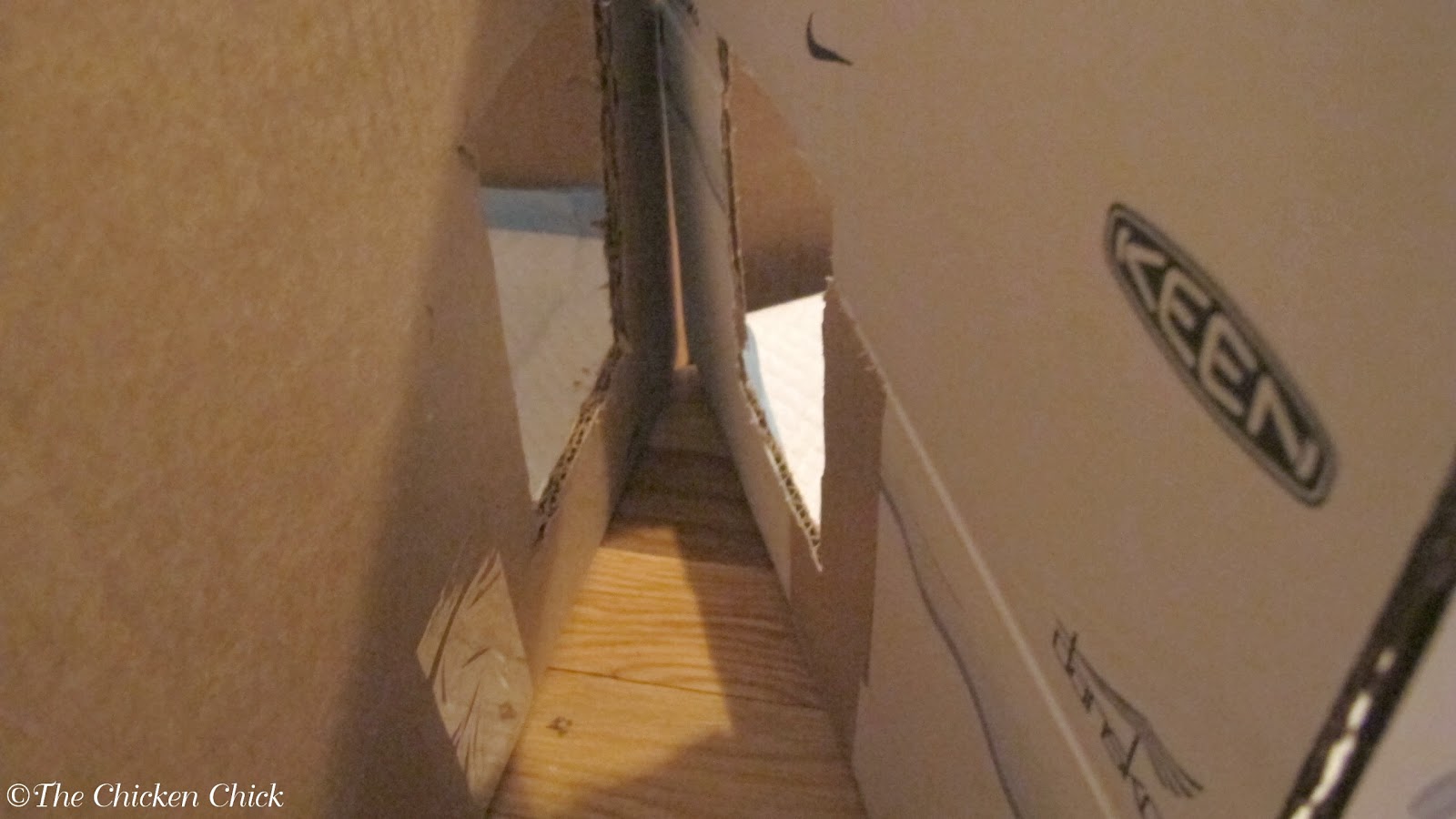 I cut out two windows between the boxes that are identical in size.