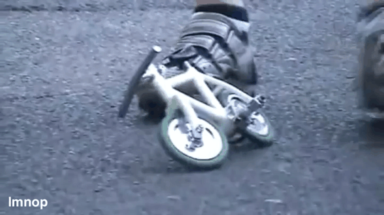 공미니 - 초미니 사이클 : 212997314.gif