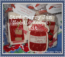 Strawberry Jam Needle Keeps Kit